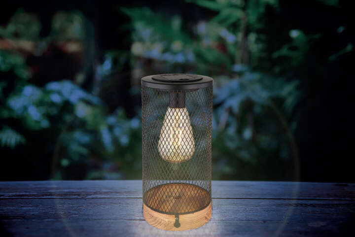 GLOBO LED-Solarleuchte